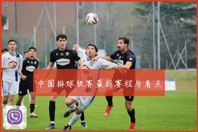 中国排球联赛最新赛程与看点