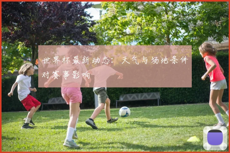 世界杯最新动态：天气与场地条件对赛事影响