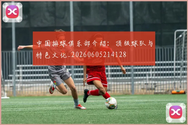 中国排球俱乐部介绍:顶级球队与特色文化_20260605214128