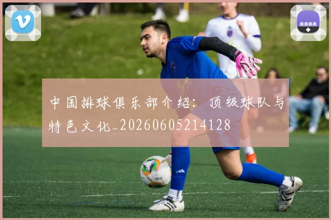 中国排球俱乐部介绍:顶级球队与特色文化_20260605214128