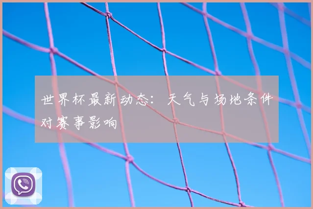 世界杯最新动态：天气与场地条件对赛事影响